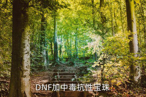 DNF加中毒抗性宝珠