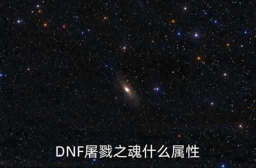 DNF屠戮之魂什么属性