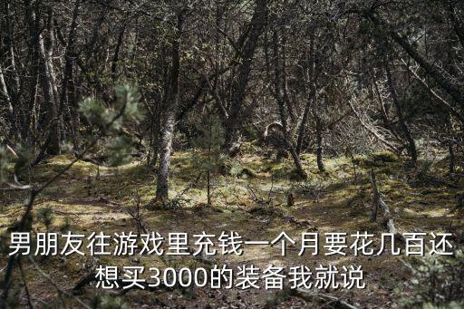 男朋友往游戏里充钱一个月要花几百还想买3000的装备我就说