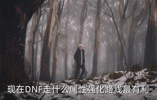 现在DNF走什么属性强化路线最有利