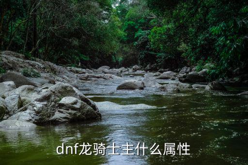 dnf龙骑士看什么属性，DNF龙骑士属性怎么样啊12能用到多少级啊