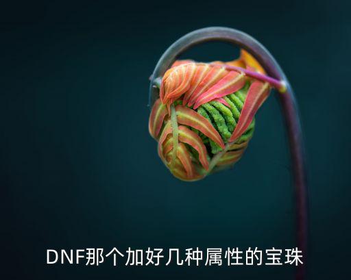 什么属性的宝珠好 dnf，DNF那个加好几种属性的宝珠