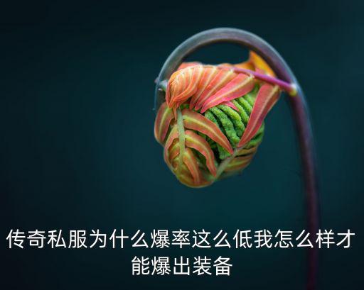 传奇私服为什么爆率这么低我怎么样才能爆出装备
