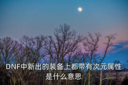 dnf次元属性是什么，DNF中新出的装备上都带有次元属性是什么意思