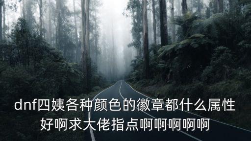 dnf四姨各种颜色的徽章都什么属性好啊求大佬指点啊啊啊啊啊