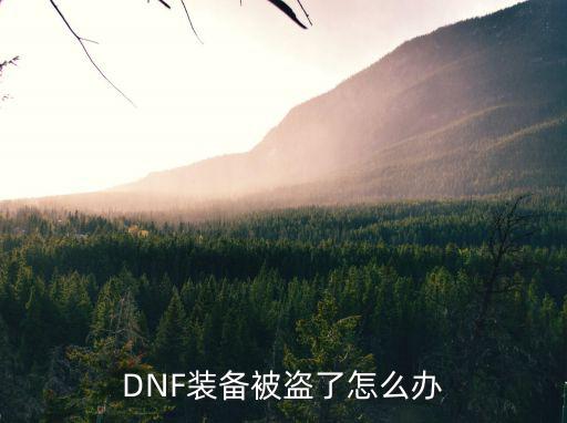 DNF装备被盗了怎么办