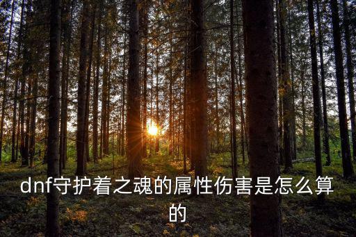dnf守护着应该什么属性，dnf守护者用什么属性的辅助装备