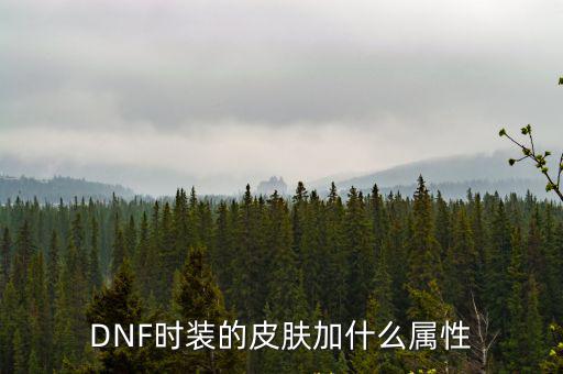 DNF时装的皮肤加什么属性