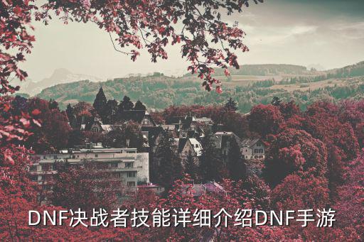 dnf决战技能什么属性，DNF决战者什么属性好