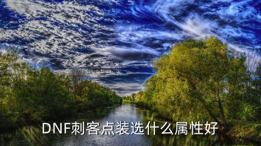 dnf刺客遴选什么属性好，dnf刺客有什么属性好