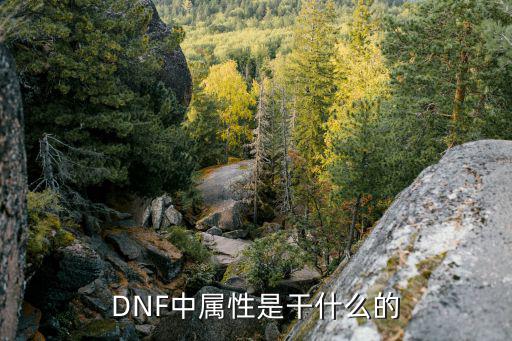 dnf面板属性都是什么，dnf属性有哪些