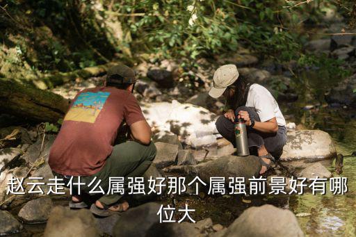 赵云走什么属强好那个属强前景好有哪位大
