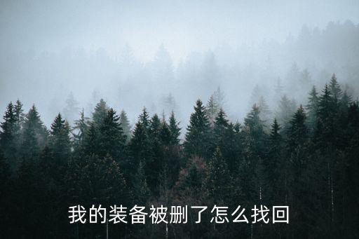 我的装备被删了怎么找回