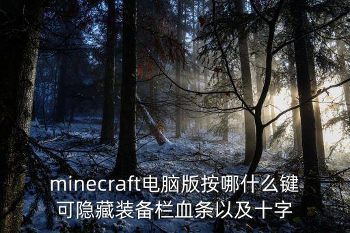 minecraft电脑版按哪什么键可隐藏装备栏血条以及十字