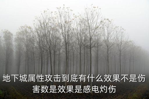 地下城属性攻击到底有什么效果不是伤害数是效果是感电灼伤
