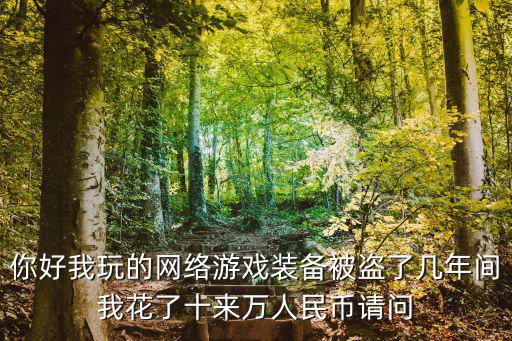 你好我玩的网络游戏装备被盗了几年间我花了十来万人民币请问