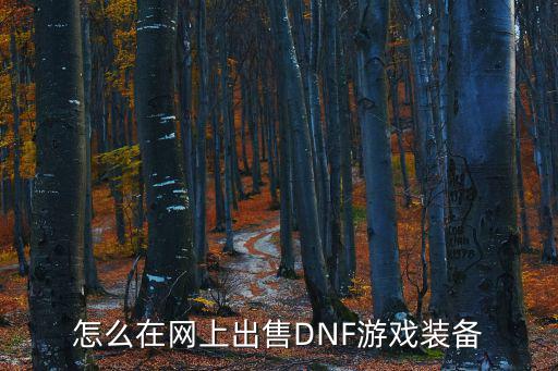 怎么在网上出售DNF游戏装备