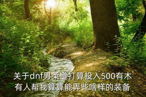 关于dnf男柔道打算投入500有木有人帮我算算能弄些啥样的装备