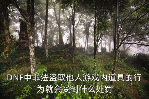 DNF中非法盗取他人游戏内道具的行为就会受到什么处罚