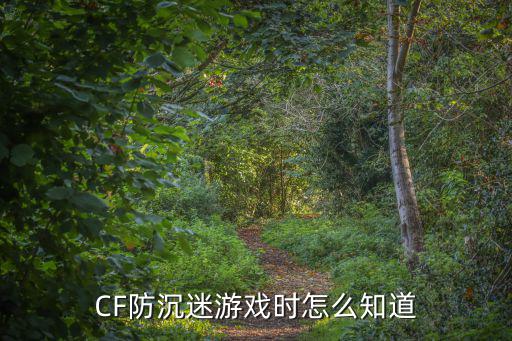 游戏防沉迷怎么看游戏装备，CF防沉迷游戏时怎么知道