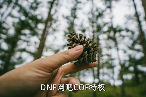 dnf特权网吧有什么属性，dnf网吧特权是什么