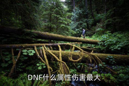 DNF什么属性伤害最大