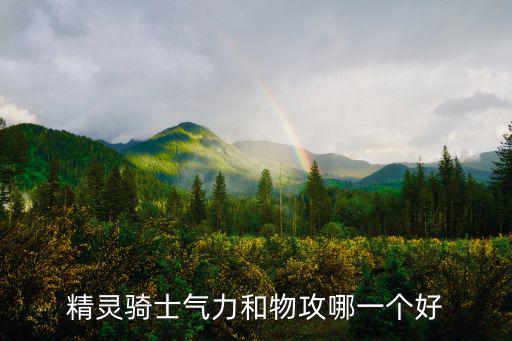 精灵骑士气力和物攻哪一个好