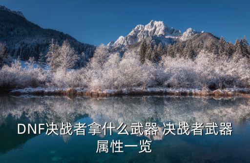 DNF决战者拿什么武器 决战者武器属性一览