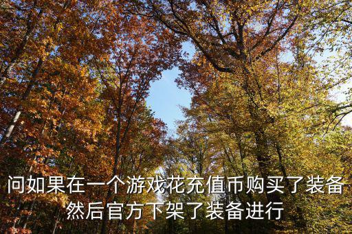 问如果在一个游戏花充值币购买了装备然后官方下架了装备进行
