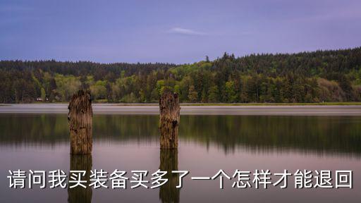 请问我买装备买多了一个怎样才能退回