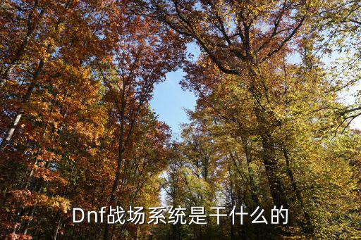 Dnf战场系统是干什么的