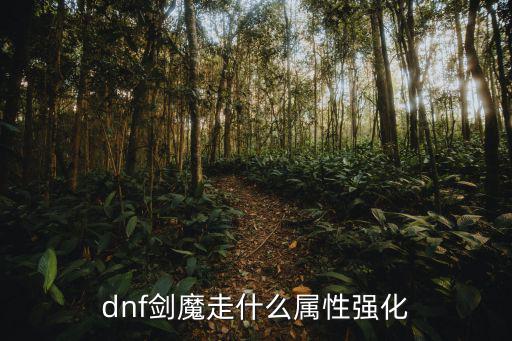 dnf剑魔适合什么属性强，dnf用魔剑强什么属性