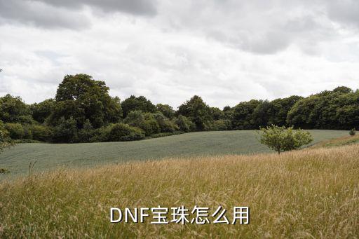 DNF宝珠怎么用