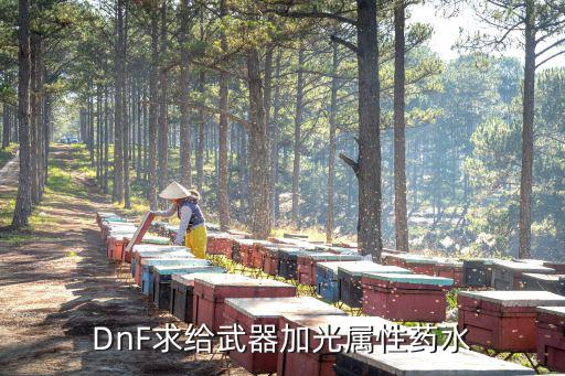 dnf什么药剂是光属性，DNF什么药使武器发光