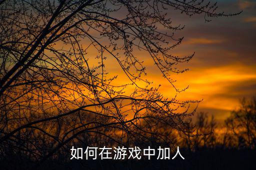 如何在游戏中加人