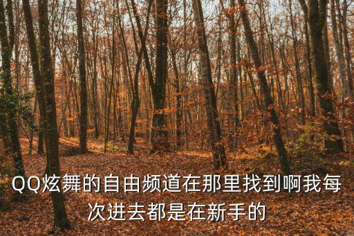 qq炫舞手游频道怎么换，QQ炫舞中怎样从新手频道切换到进阶或普通频道