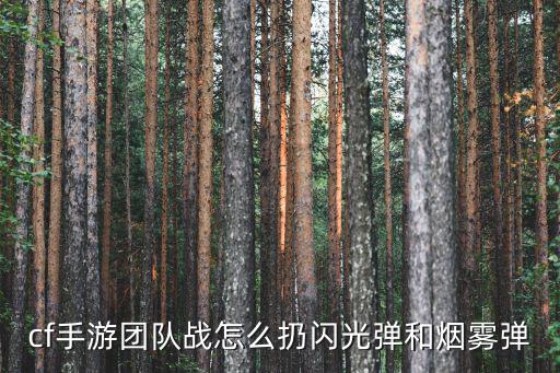 cf手游烟雾怎么扔，CF手游 团队里怎么扔烟雾弹