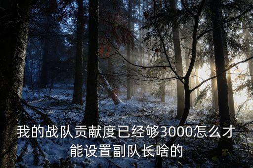 我的战队贡献度已经够3000怎么才能设置副队长啥的