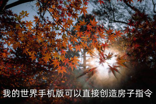 我的世界手机版可以直接创造房子指令