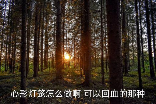 心形灯笼怎么做啊 可以回血的那种