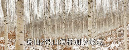 诛仙2烈山怎样加技能点