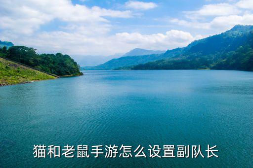 猫和老鼠手游怎么设置副队长