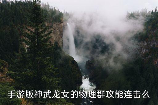 手游版神武龙女的物理群攻能连击么