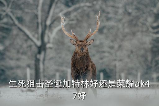 生死狙击圣诞加特林好还是荣耀ak47好