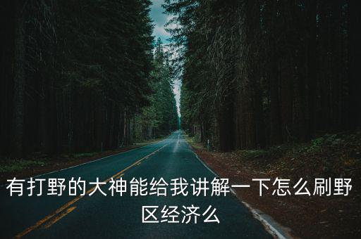 有打野的大神能给我讲解一下怎么刷野区经济么