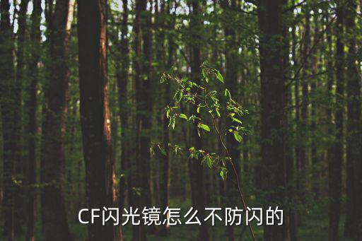 CF闪光镜怎么不防闪的