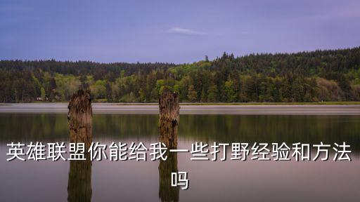 英雄联盟你能给我一些打野经验和方法吗