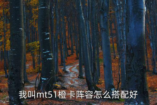 我叫mt51橙卡阵容怎么搭配好