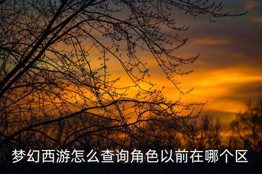 手游梦幻西游忘记哪个区了怎么办，我的梦幻号忘了在哪个区了怎么办