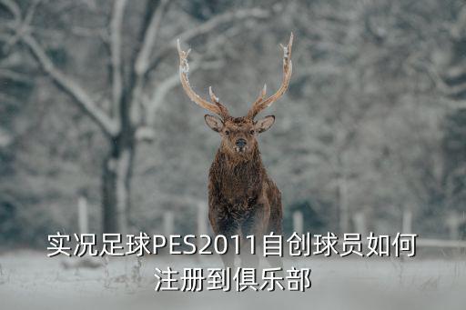 实况手游球员怎么加入队伍，实况足球PES2011自创球员如何注册到俱乐部